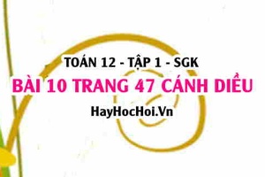 Bài 10 trang 47 Toán 12 tập 1 Cánh Diều